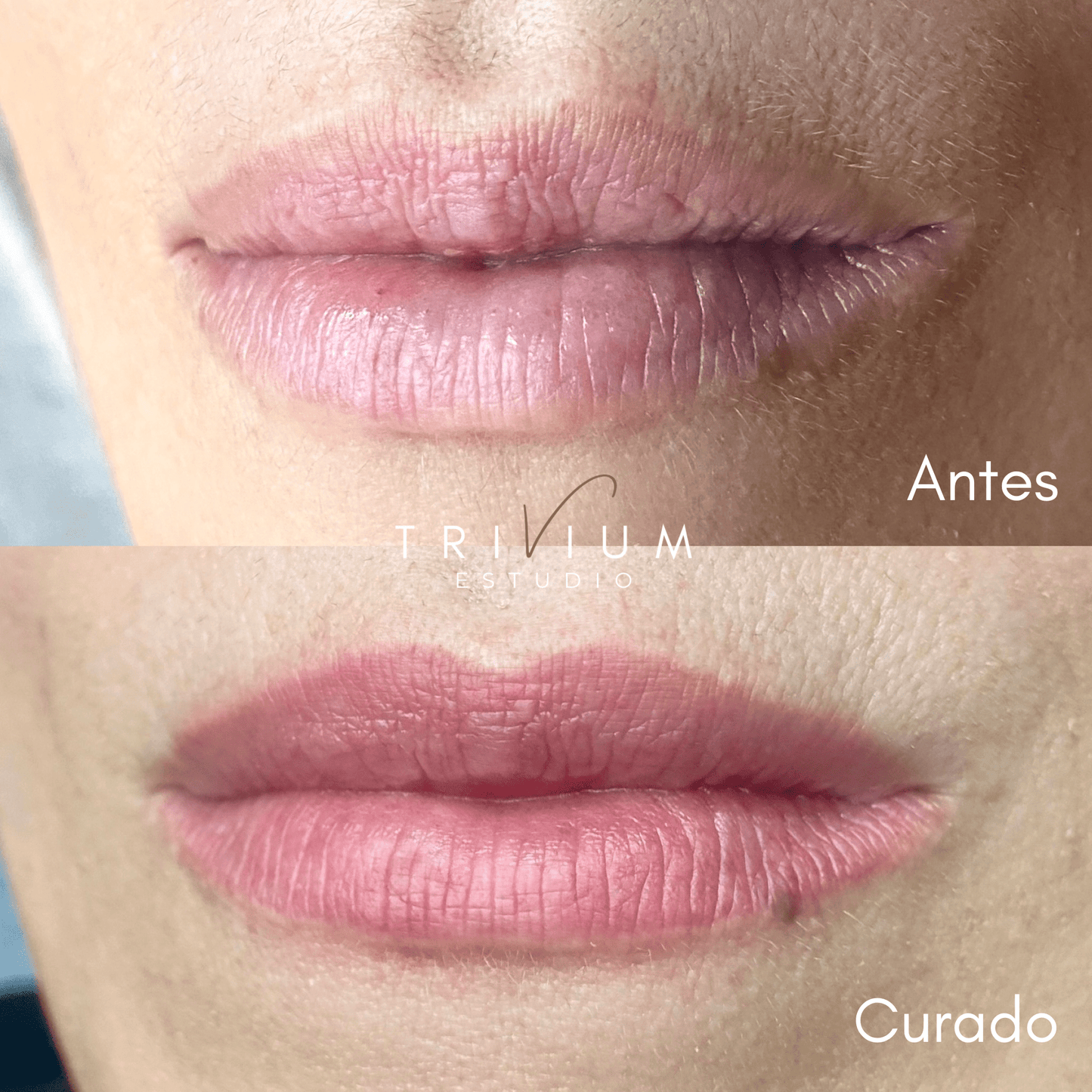 micropigmentacion labios natural